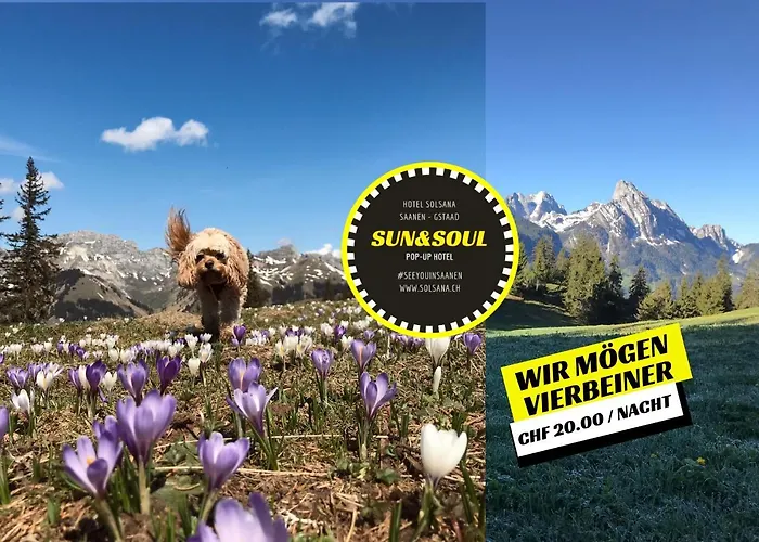 The Sun&soul Panorama Pop-up Solsana