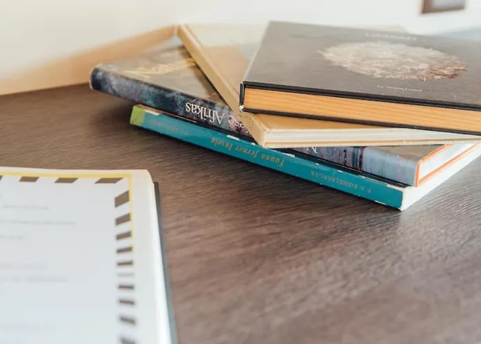 The Sun&soul Panorama Pop-up Solsana Saanen